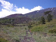 rrente Quarantore-20100606 120